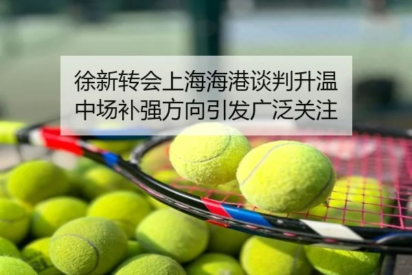 徐新转会上海海港谈判升温 中场补强方向引发广泛关注